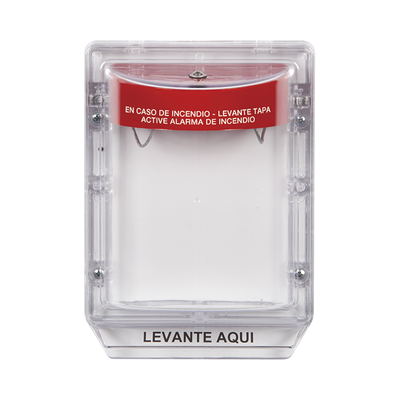 imagen_2025-07-19_193603879